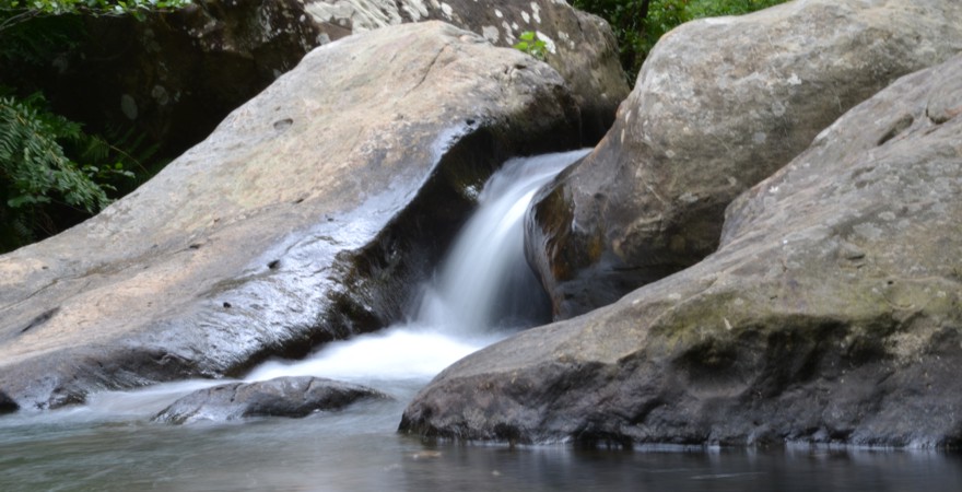 "Rio de la Miel"